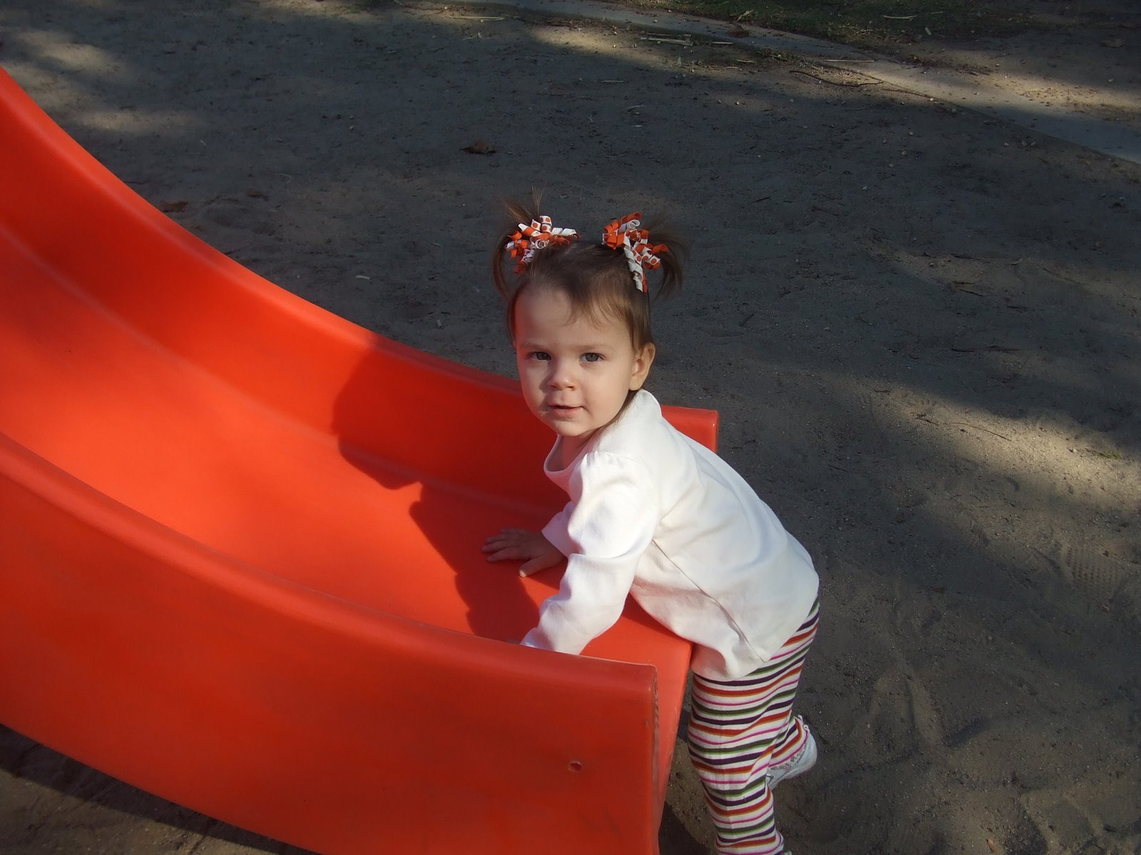 [DSCF4032.JPG]