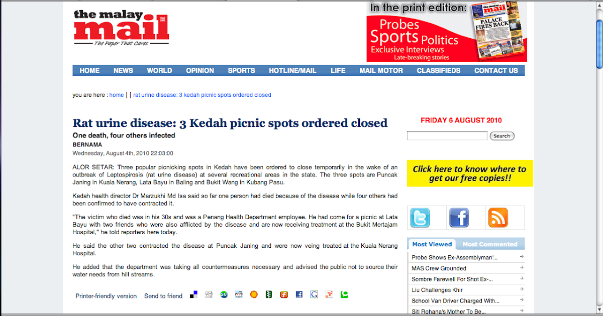 School of Rats Malaysia RAT URINE DISEASE