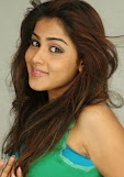 South Indian Cute Actress