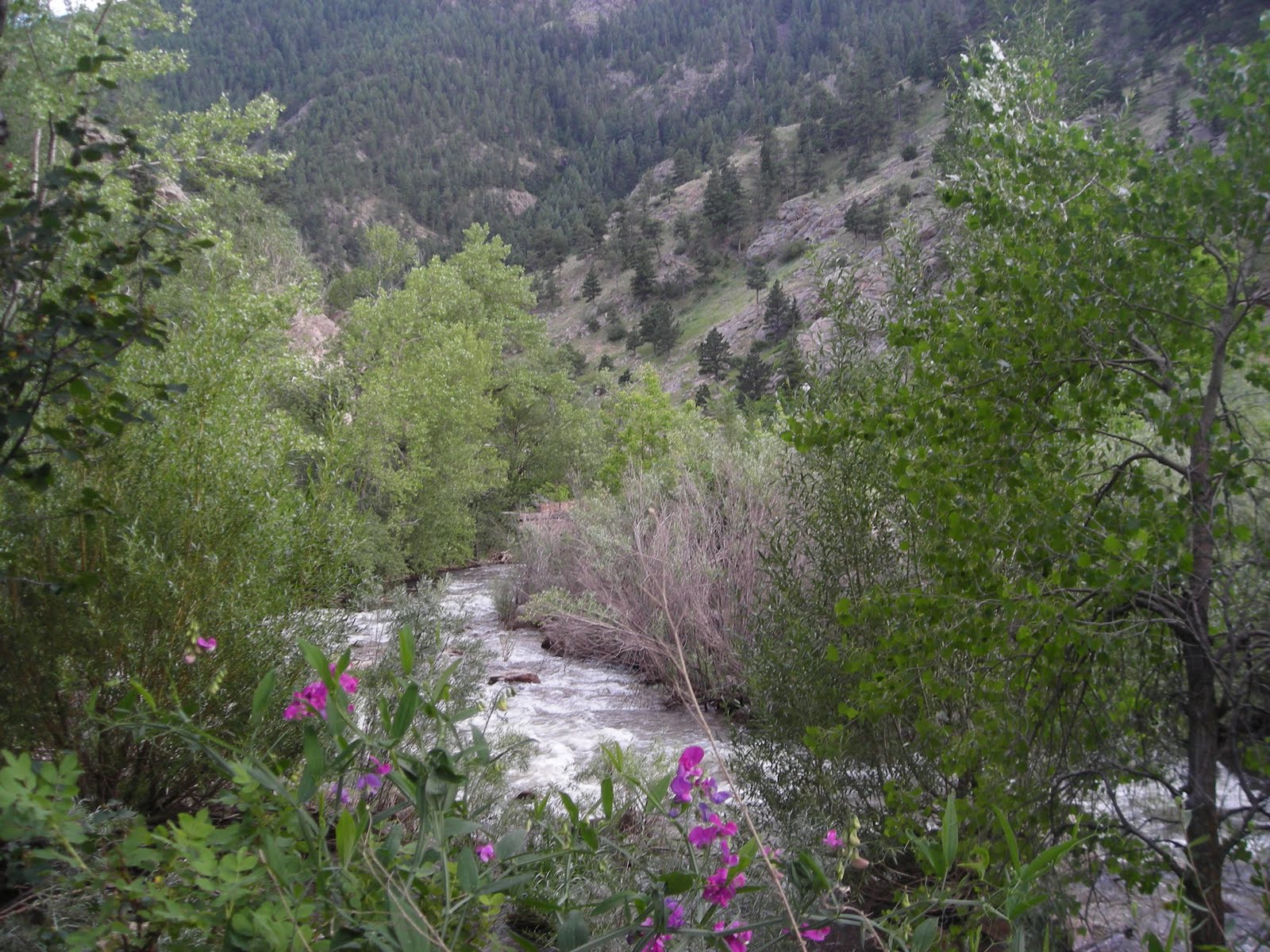 s t a n d i n g w a t e r: Boulder Creek, Boulder Canyon: it only gets