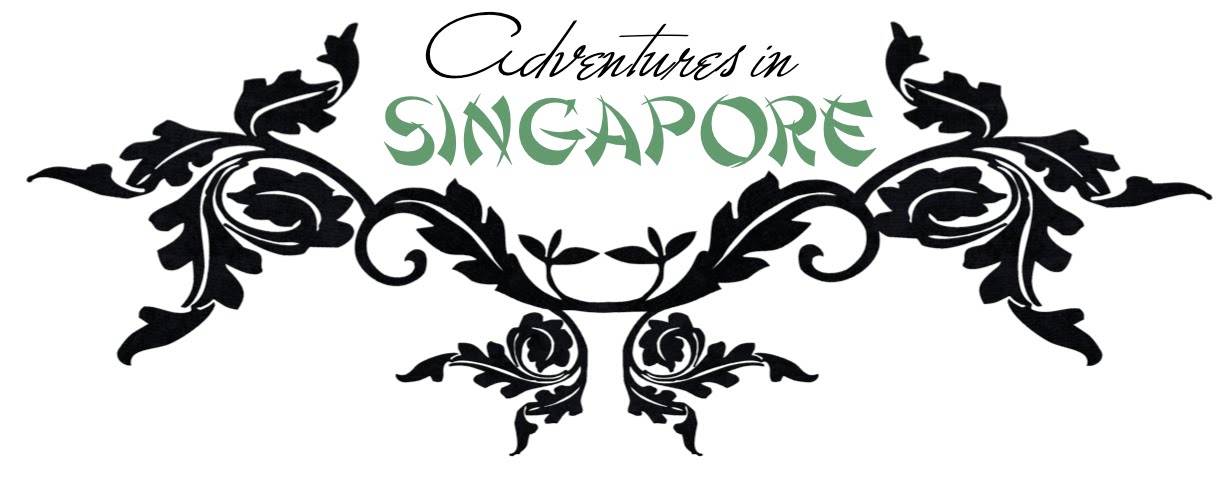 Adventures in Singapore