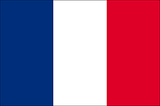 http://3.bp.blogspot.com/_OAOQrzYR6cU/SNoyFkD8nmI/AAAAAAAAALs/iUXzTKgsdFE/s320/France_flag.gif