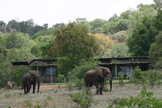 Lillie House, Selati