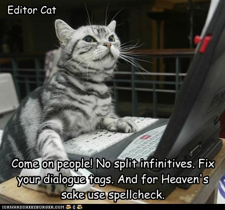 [editor+cat.jpg]