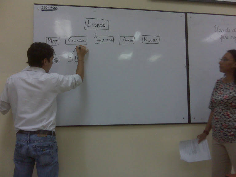 MAPAS DE ORGANIZACIÓN