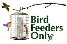 Birdfeedersonly.com
