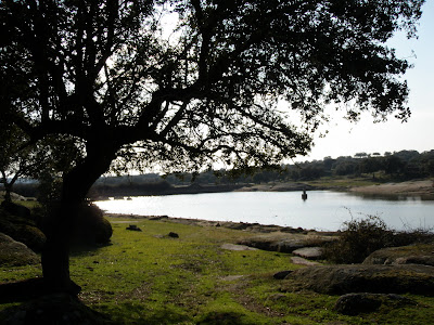 Torrequemada