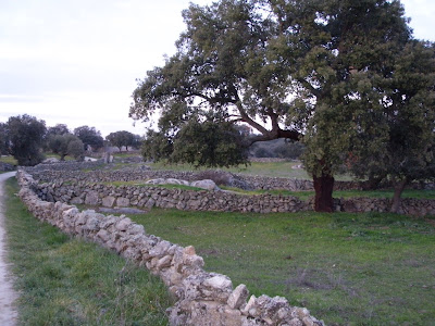 Torrequemada