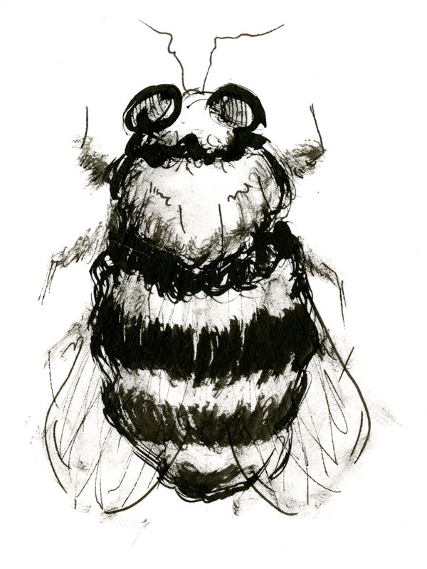 Bee Sketch