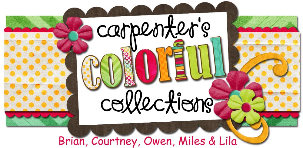 Carpenter's Colorful Collections