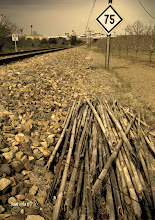 Caminante no hay camino...