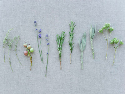  Bride on Natural   All Things Inspirational  Diy Herbal Wedding Boutonnieres