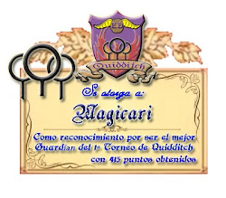 Campeonato Quidditch