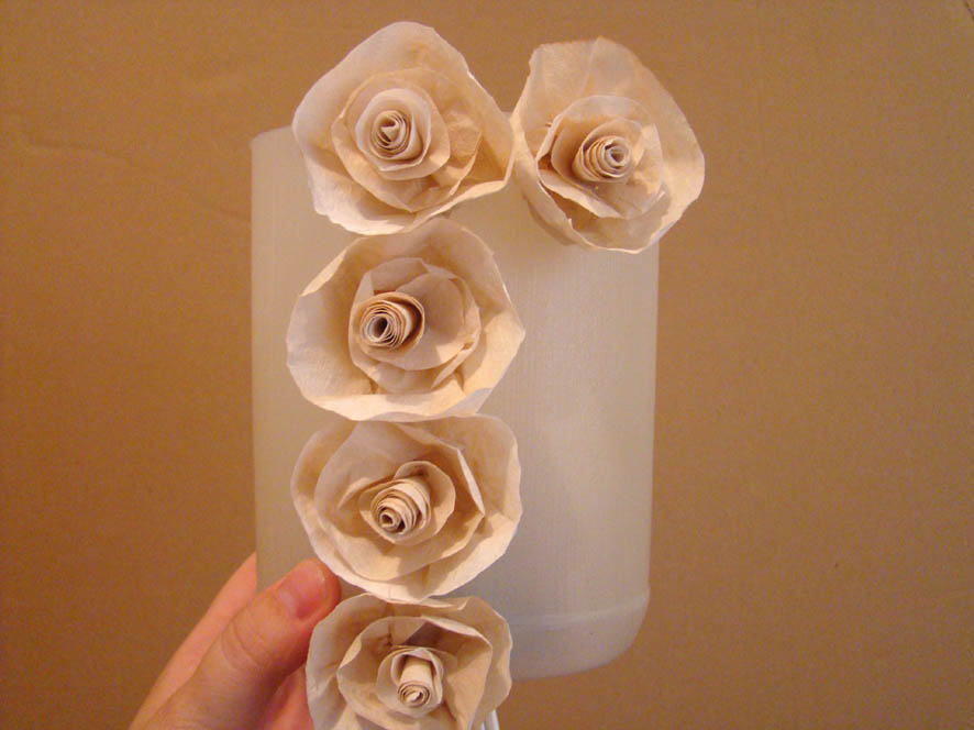 [lumin+rosas+(10).jpg]