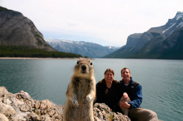 [cgy-squirrel-brandts.jpg]