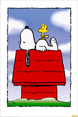 [snoopy2.jpg]