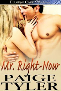 Guest Review: Mr. Right-Now by Paige Tyler
