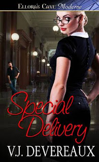 Guest Review: Special Delivery by V.J. Devereaux