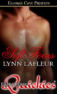 Guest Review: Soft Focus by Lynn LaFleur