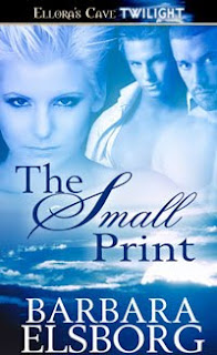 Guest Review: The Small Print by Barbara Elsborg