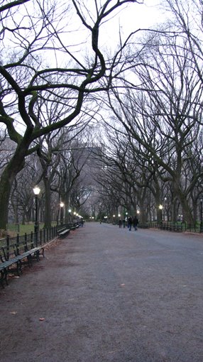 [IMG_2799.JPG]
