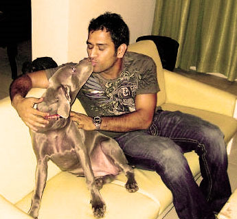Dhoni Short Hair