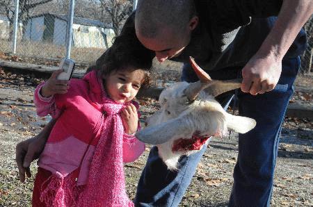 [fft5_mf80974-702241.jpg]