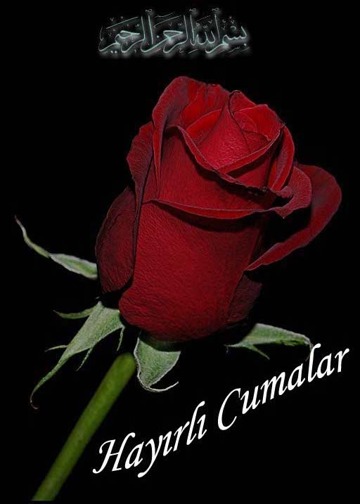 [=?ISO-8859-9?Q?Hay=FDrl=FD_Cumalar=2Ejpg?=-713065]