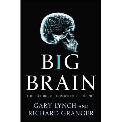 [bigbrain.jpg]