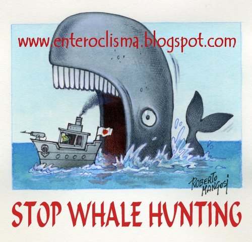 Essay On Stop Hunting Animals