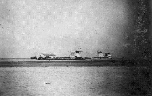 [moinho+samouco.jpg]