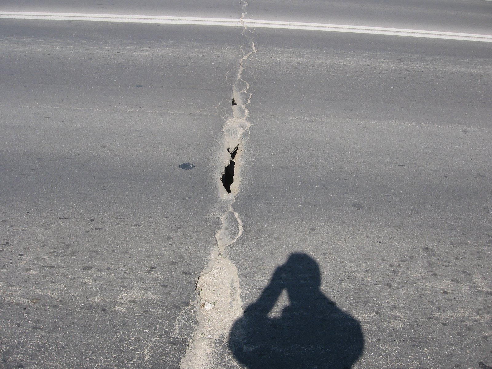 [IMG_3405.jpg]