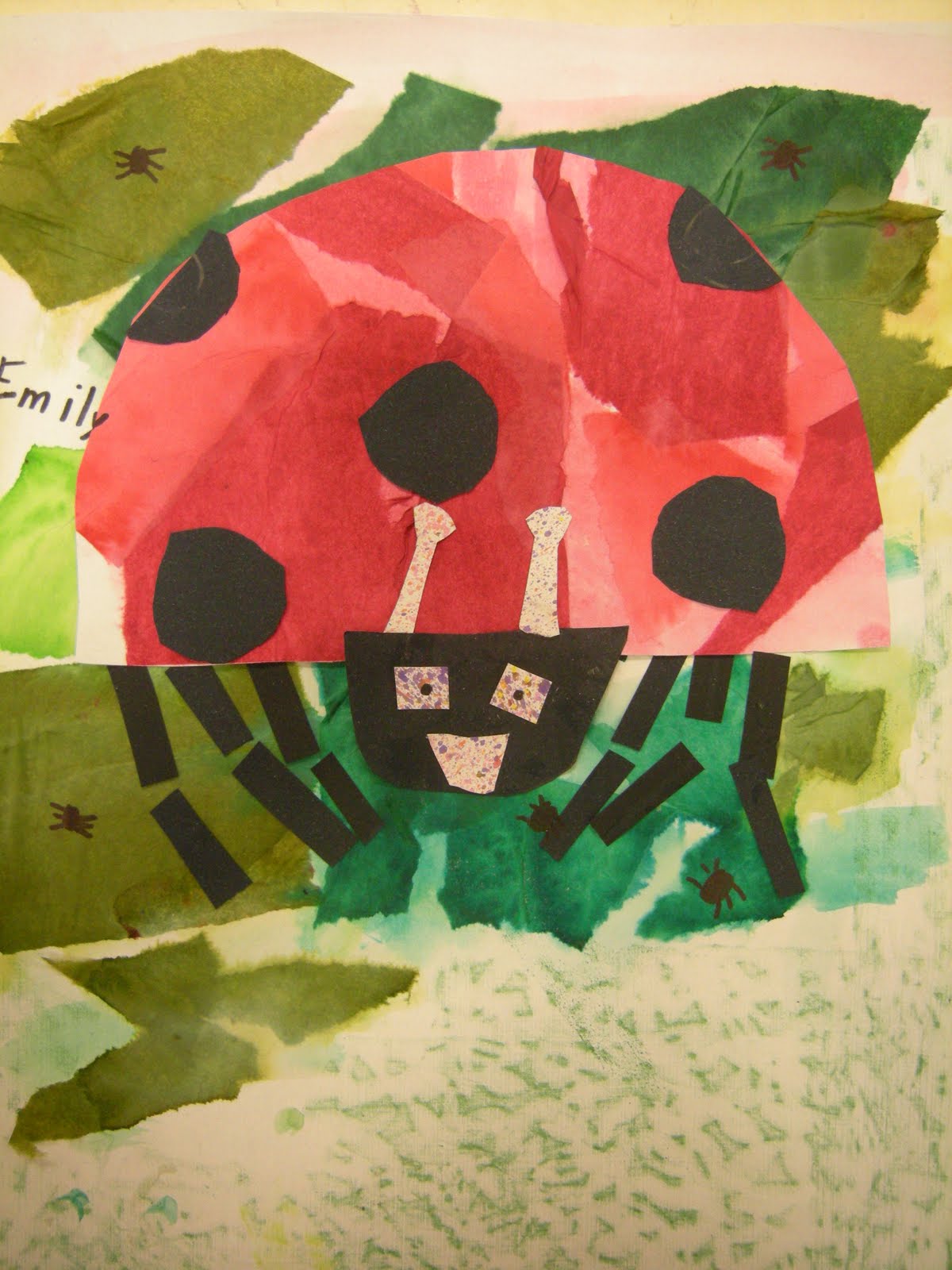 Grumpy Ladybug