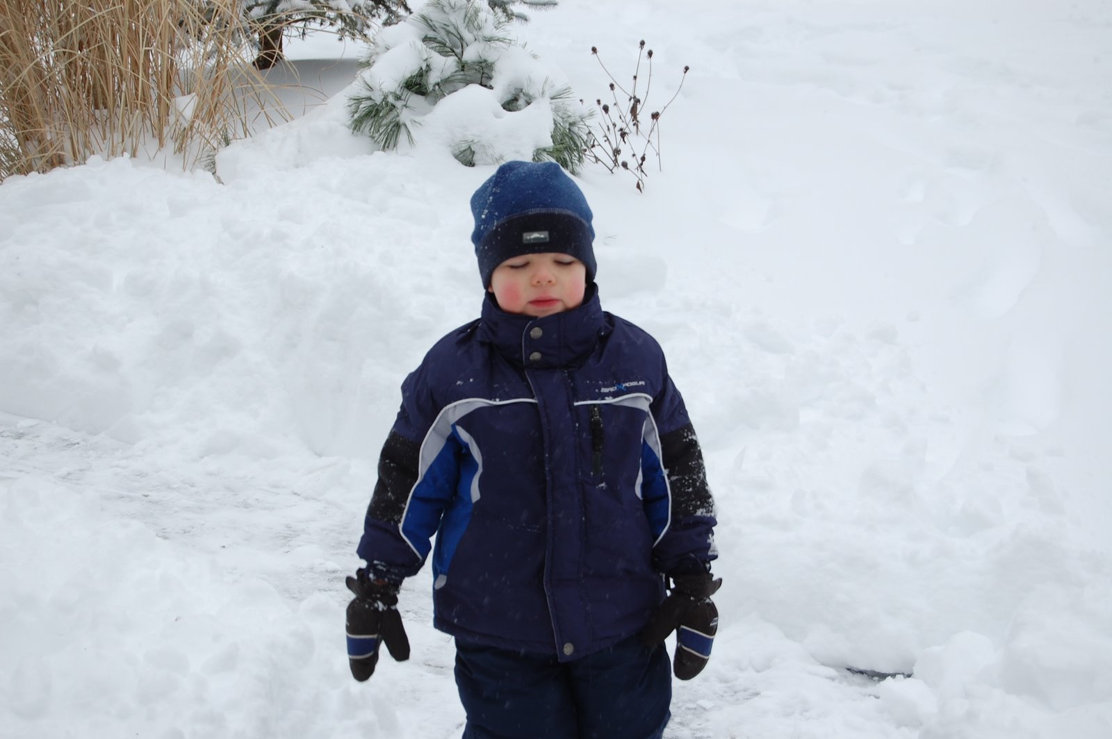 [DSC_0100.JPG]