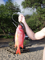 An amazing sunset! It was so pe...