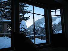 View Out of Lodge Window, Aspen