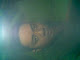 Foto saya