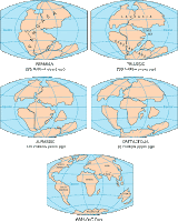 continental drift pangea evidence wegener science alfred abraham ortelius drifted introduced developed pangaea fully due later idea know 7th grade
