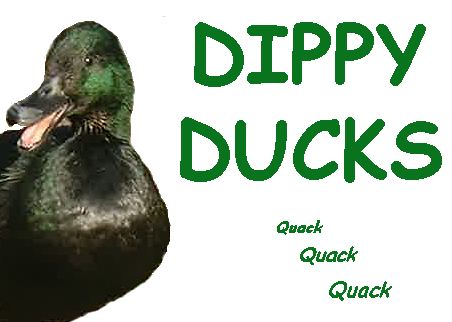 Dippy Ducks