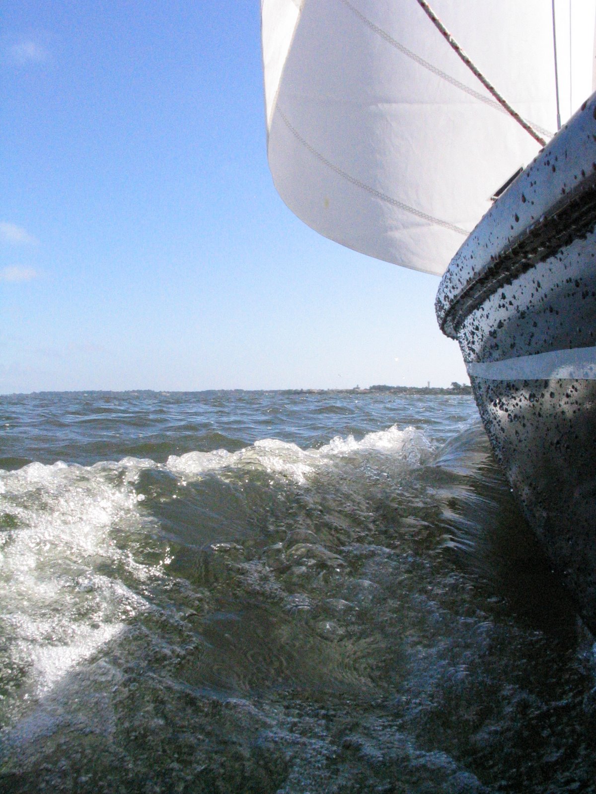 [IMG_3754.JPG]