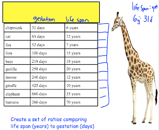 Off The Hypotenuse: Teaching Ratios: Gestation to Life Span