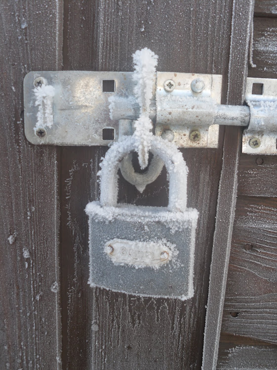 Shed Lock