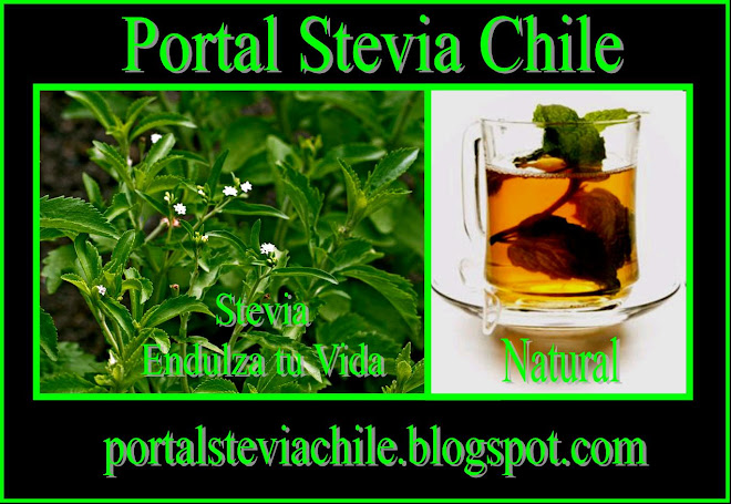 STEVIA CHILE