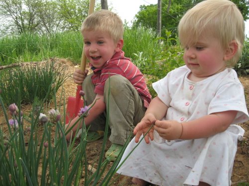 Home Joys: Is Gardening Worth It?