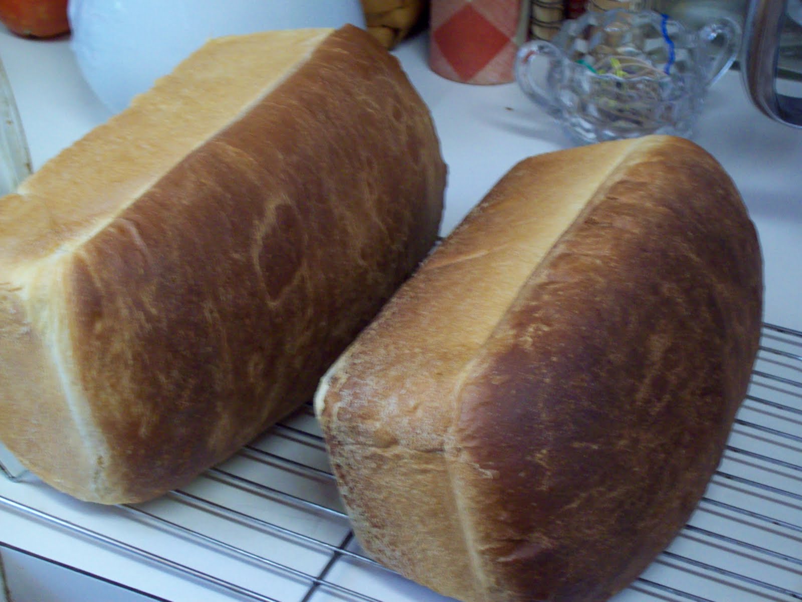Through a Glass, Darkly Romas, Latin & Bread