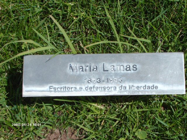 [HPIM1601.JPG]