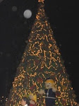Arbol de Navidad más Grande del Táchira