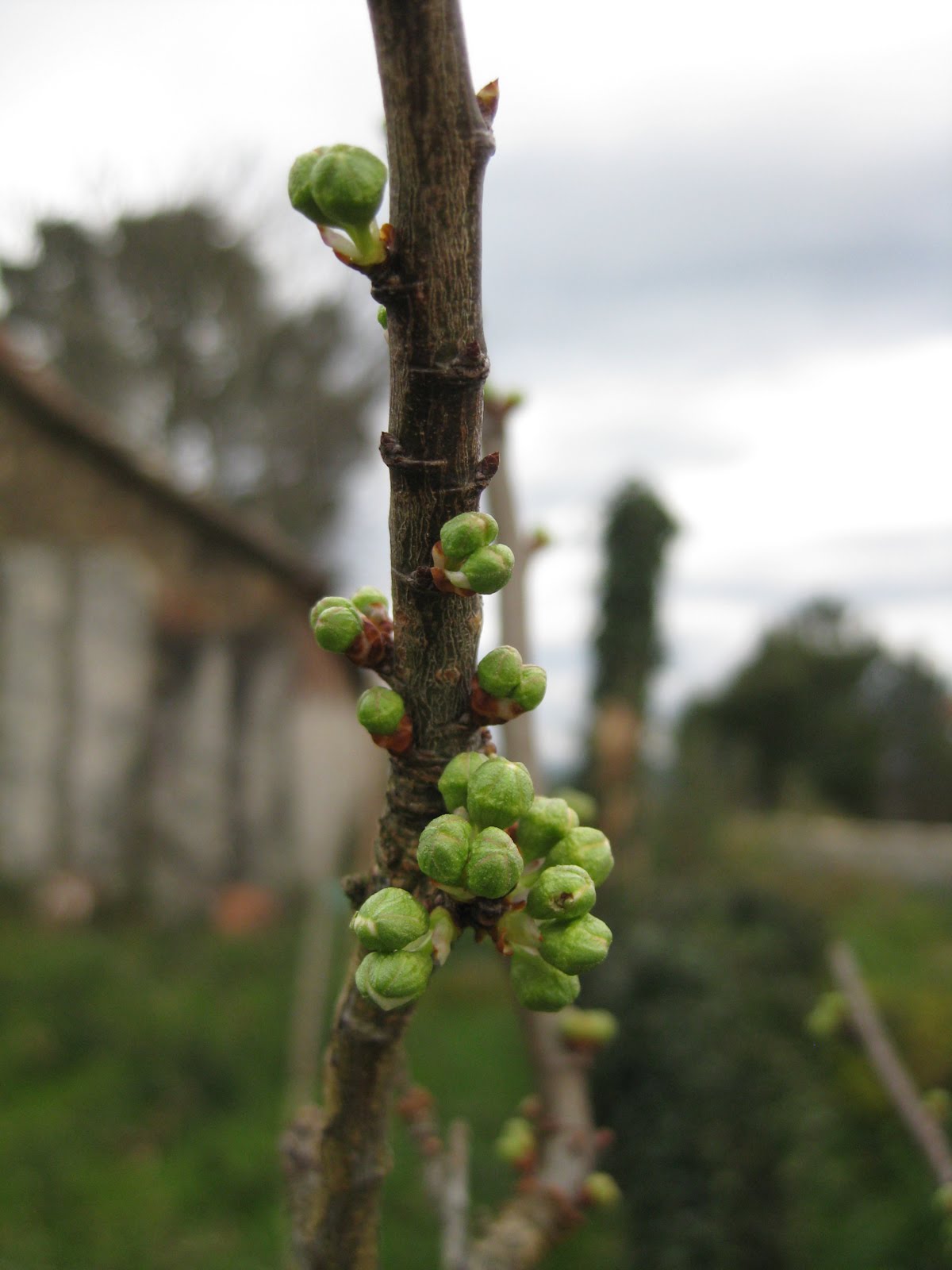 [ofedellas+20100302-005.jpg]