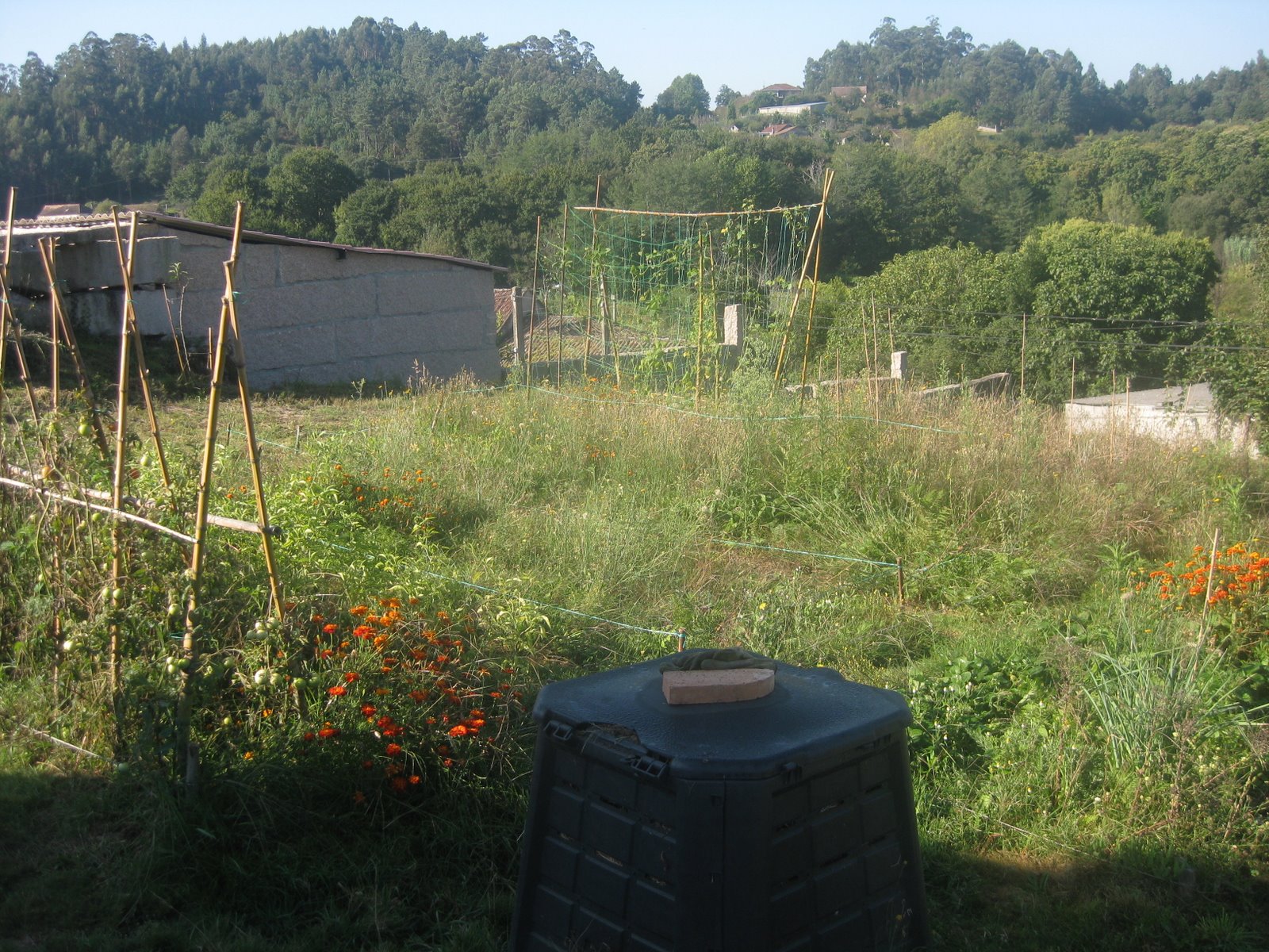 [20080929+001.jpg]