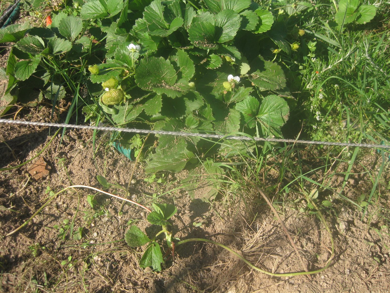 [20080929+009.jpg]